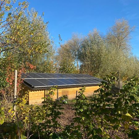 Bed and Breakfast BenBZuiderzee Hattem Exterior foto